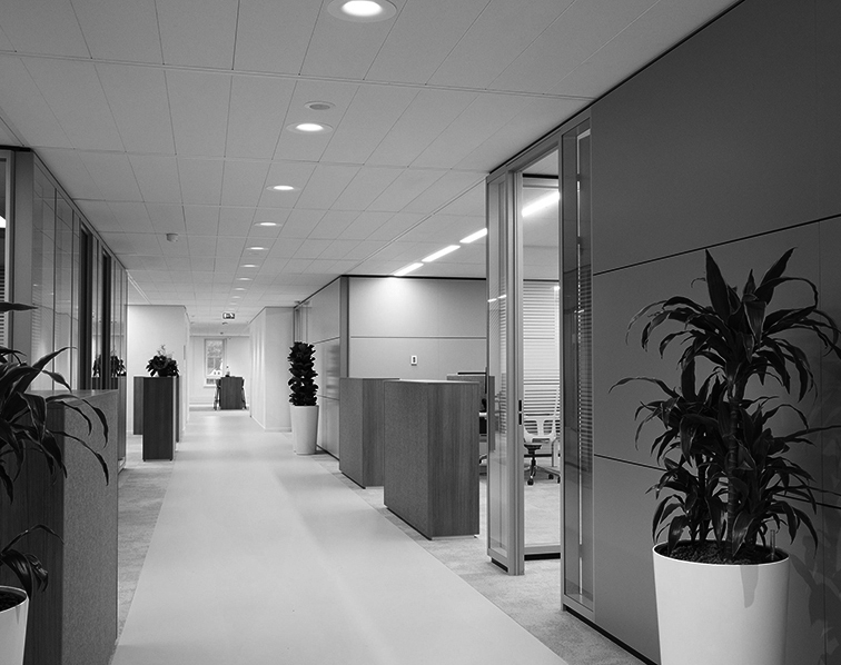 DOWNLIGHTS RECESSED